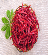 ӡ��S17���� �����ȣ�11�f-13�fSHU��