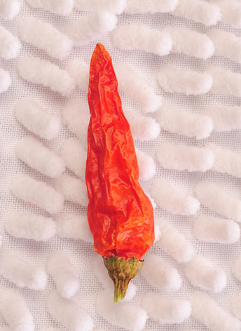 Ұɽ������������13�fSHU��