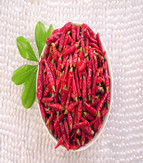 �M���ǣ���������10�f����SHU��