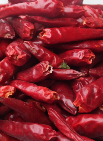 ��һ���t���������ͣ�5�f-6�fSHU��