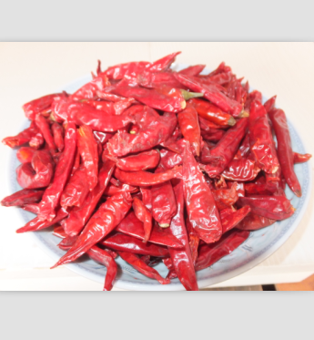 �������������7�f����SHU��