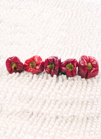 ���\������������5�f(w��n)����SHU��