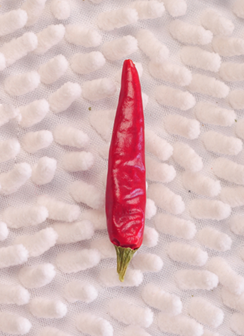 �M���ǣ������ͣ�10�f(w��n)����SHU��