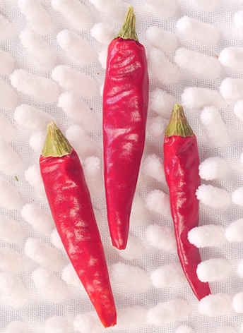 �M���ǣ���������10�f(w��n)����SHU��