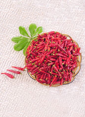 �M���ǣ���������10�f(w��n)����SHU��