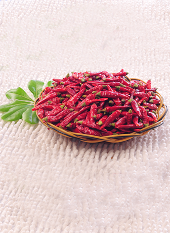 �M���ǣ���������10�f(w��n)����SHU��