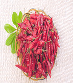 ������������������10-11SHU��