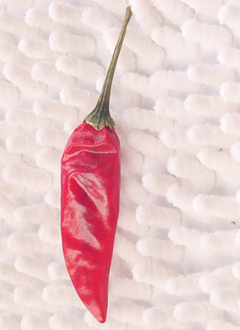 ���������������ͣ�10-11SHU��