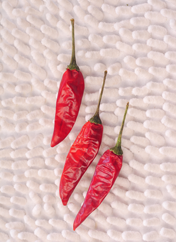 ������������������10-11SHU��