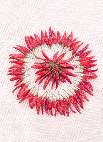 ������������������10-11SHU��