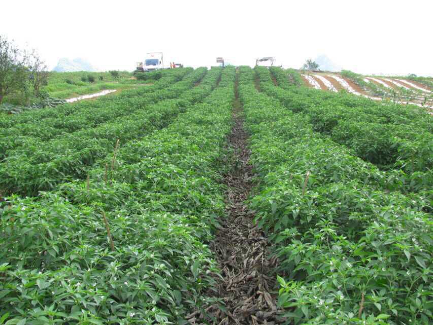 ���a(ch��n)��ˇһ