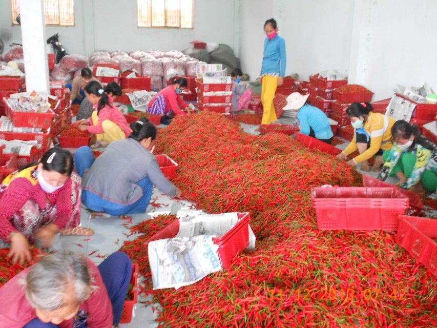 ���a(ch��n)��ˇ��