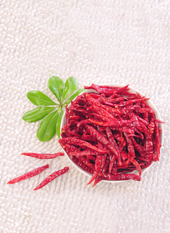 ӡ��S17���� ��������8�f(w��n)-10�f(w��n)SHU��