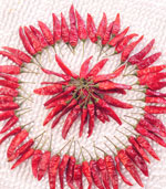 С�׽�����������12�f(w��n)SHU)