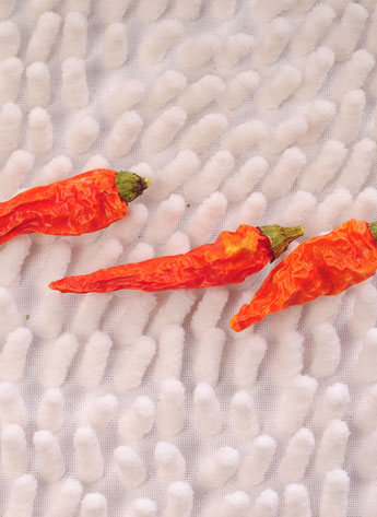 ���������������ͣ�12�f(w��n)SHU)