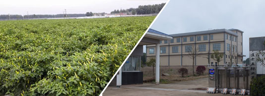 ������������������12�f(w��n)SHU)