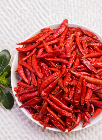 �t̫ꖸ���������������6�f����SHU��