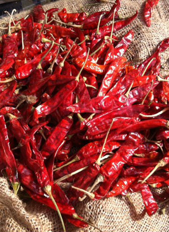 ӡ��S4��������������4�f����SHU��