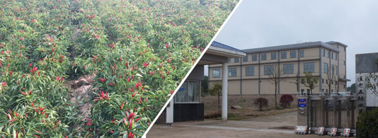 ����������ͣ�7�f����SHU��