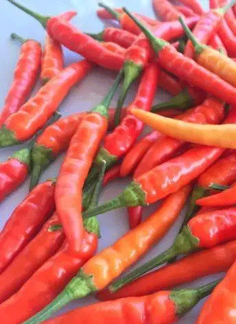 �ǐ��rҰɽ��