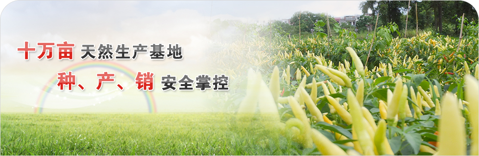 �����ٿ�