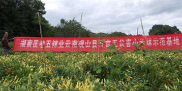 ����������С��������