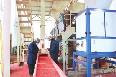 ���������I(y��)���M(j��n)�ӹ���