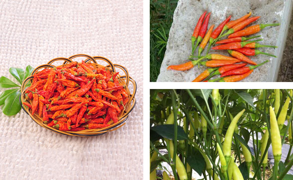 ���������l(f��)�Ј�