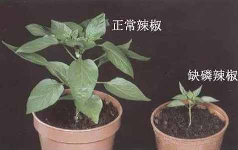 Ұɽ�����l(f��)