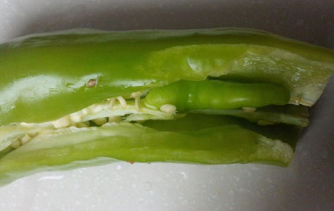 Ұɽ���r��