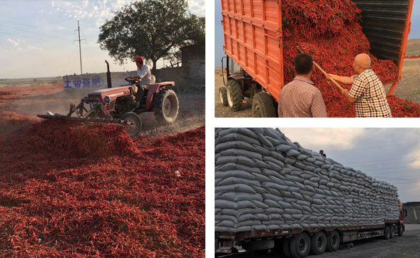 Ұɽ���r(ji��)��