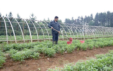 �ɳ��콷���l(f��)