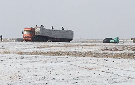 ���콷���l(f��)