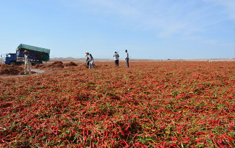 ���콷���l(f��)