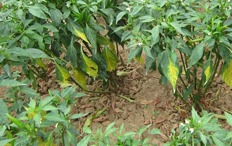 ���콷���l(f��)