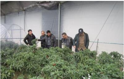 ���콷���l(f��)