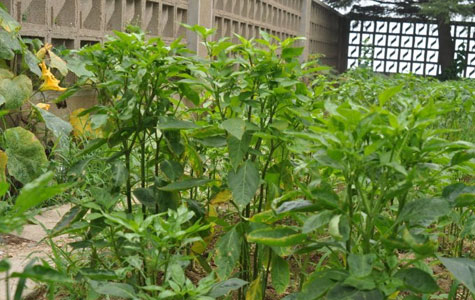 �M��������