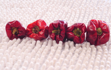 �������S��