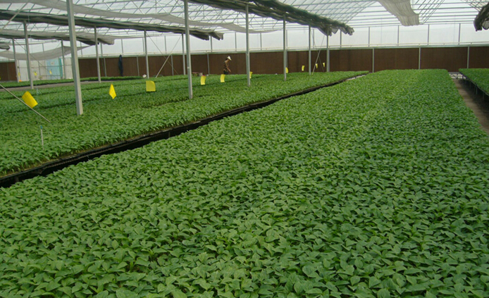 �������Ј�(ch��ng)����