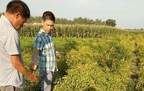 ��(y��u)�|(zh��)������